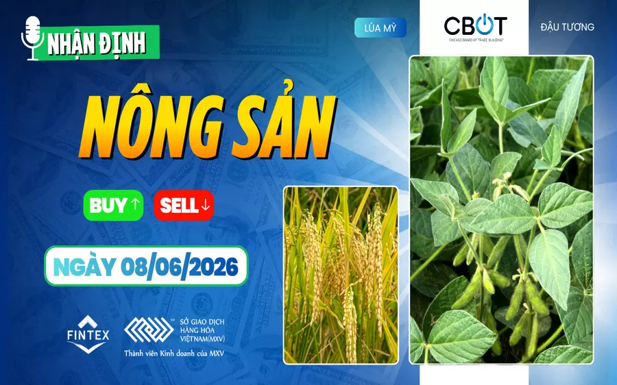 NHẬN ĐỊNH THỊ TRƯỜNG NÔNG SẢN NGÀY 08/06/2026